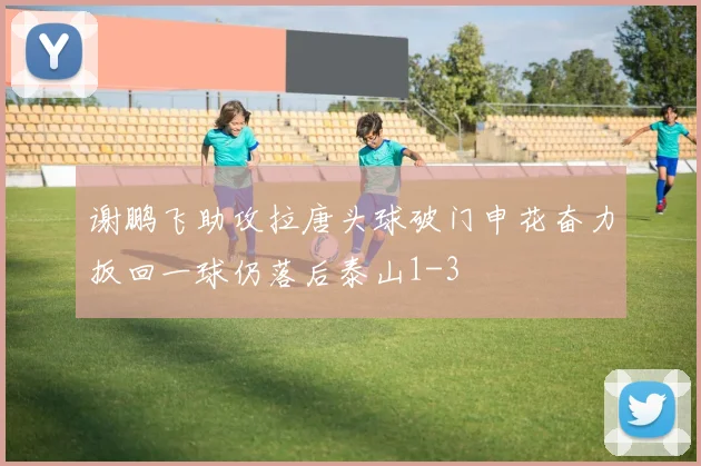 谢鹏飞助攻拉唐头球破门申花奋力扳回一球仍落后泰山1-3